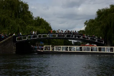 DSC_2781 (Large).JPG